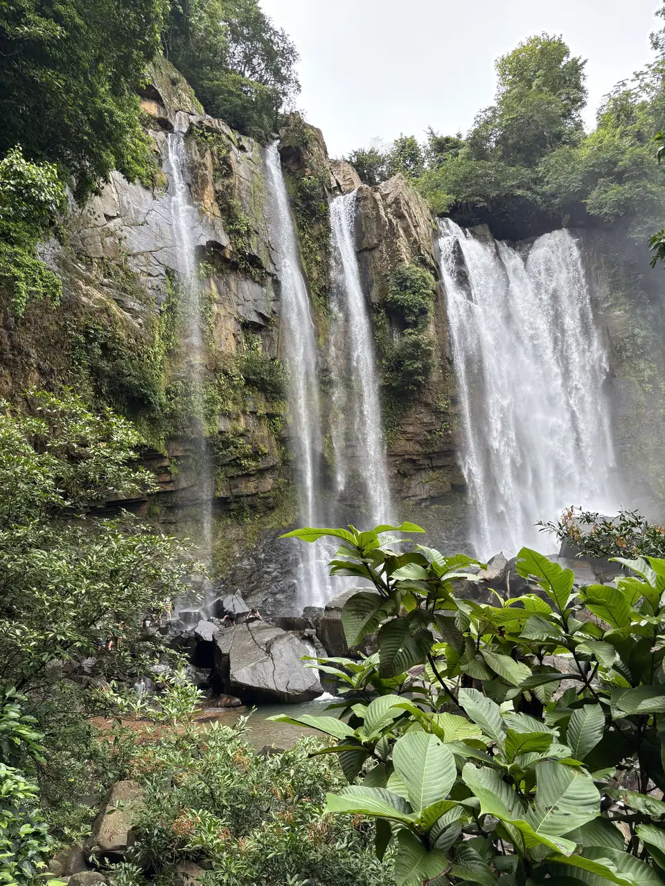 Cataratas Nauyaca rodeadas de bosque