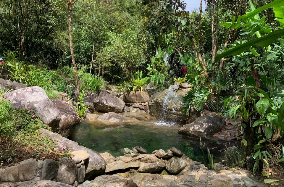 Poza natural de roca y pequeña catarata rodeadas de bosque