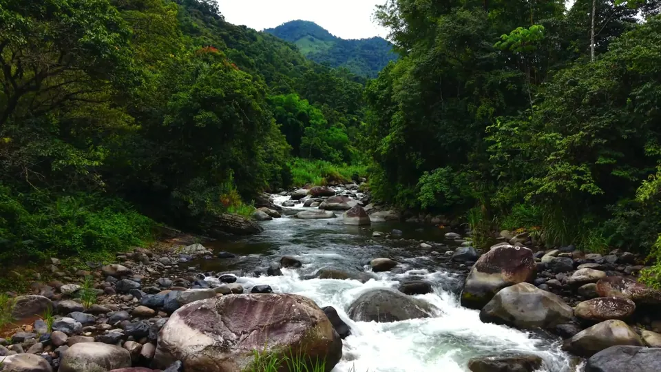The Río Chirripó rushing over boulders below forested mountains
