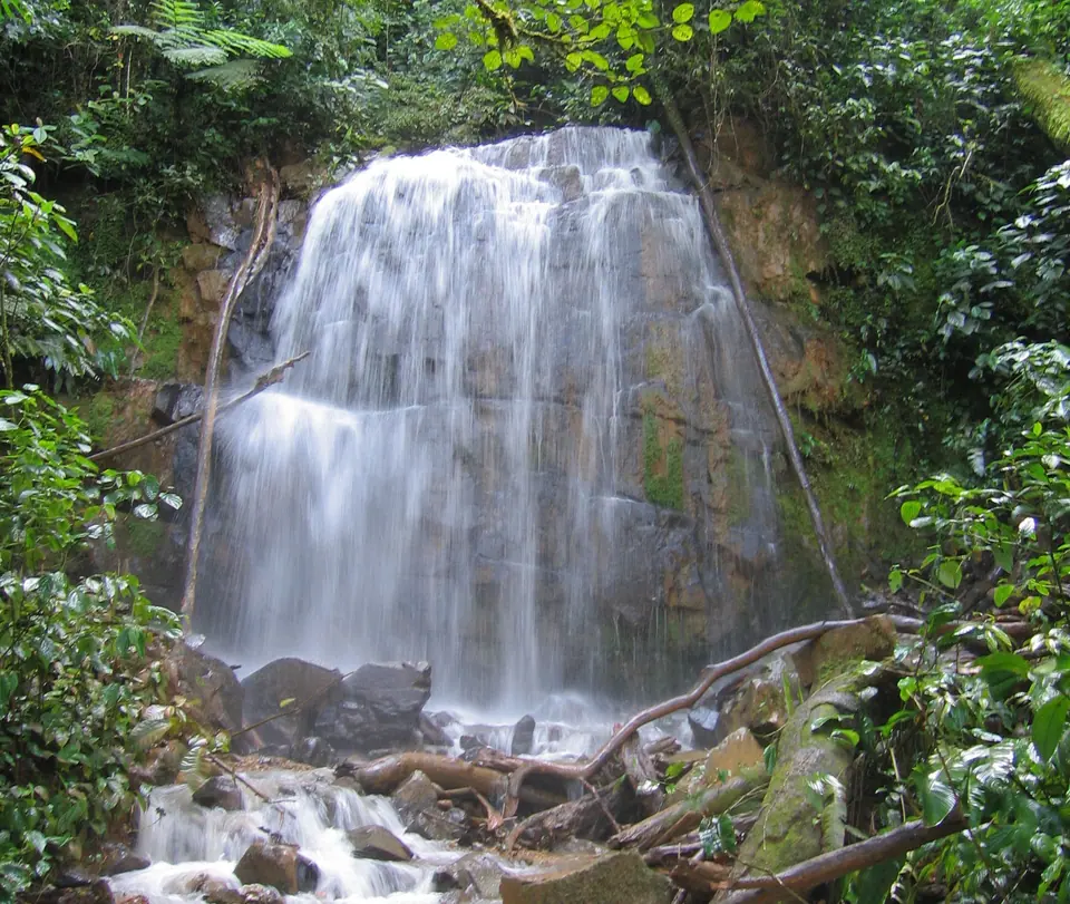 Waterfall cascading into a jungle pool
